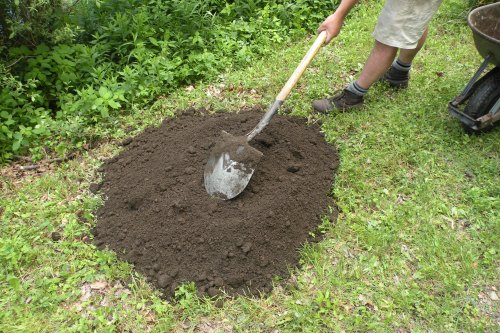 One large wheel barrow full of finished compost achieves two goals, it adds organic material to the planting area will also smothering the unwanted grass.